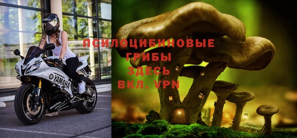 экстази Алексин