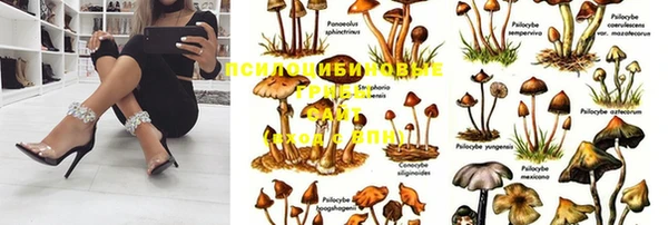 экстази Алексин