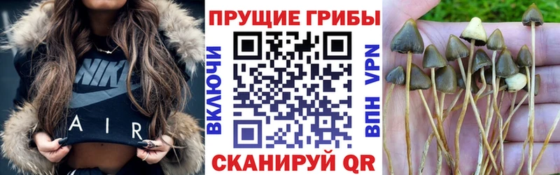 Псилоцибиновые грибы мухоморы  купить   Опочка 